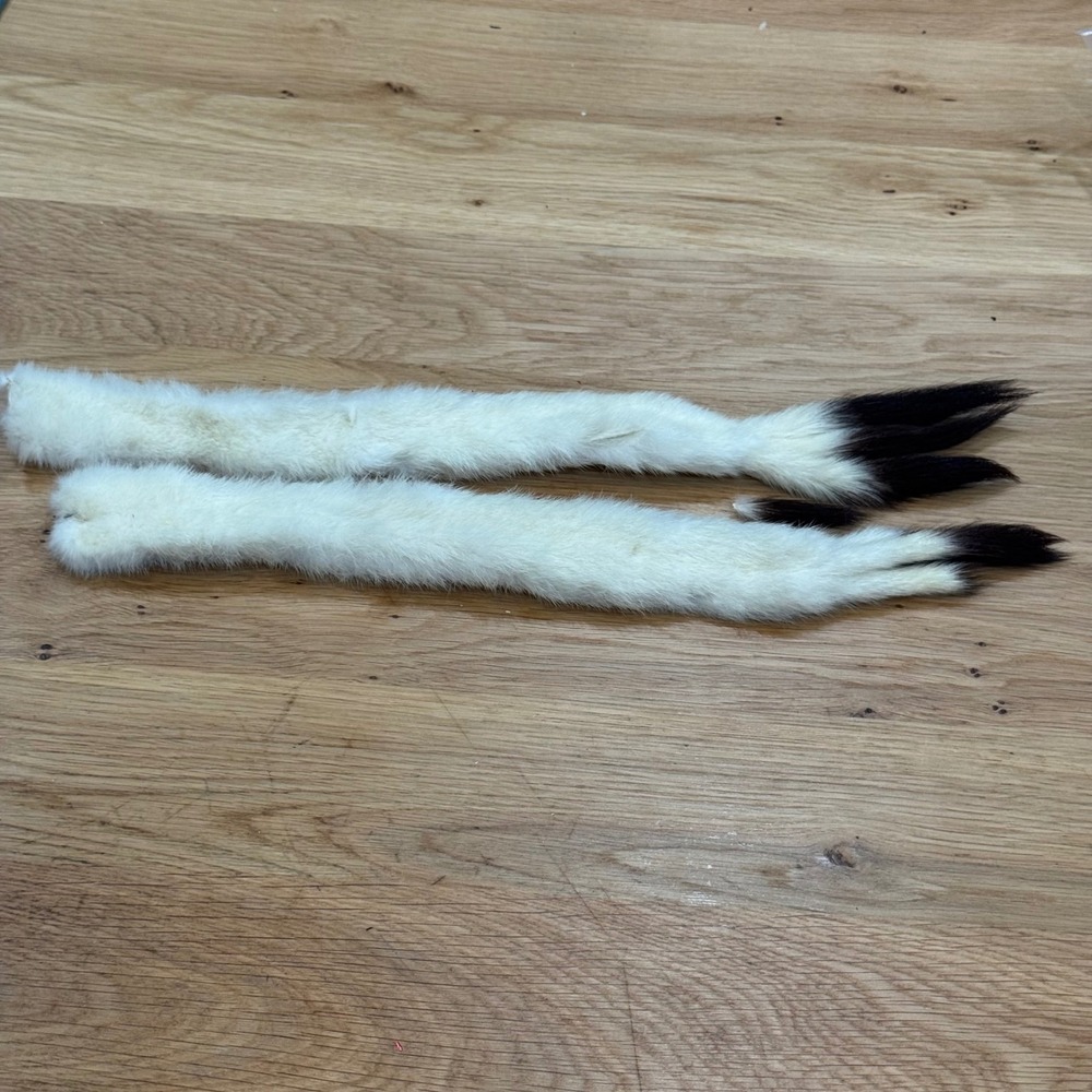 Vintage White Ermine Fur Tails with Black Tips Taxidermy Craft Lot of 2 13in